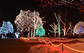 toledo zoo lights before christmas caroling high school vocal music - Toledo Zoo Lights Before Christmas toledo zoo lights before christmas caroling high school vocal music - Toledo Zoo Lights Before Christmas