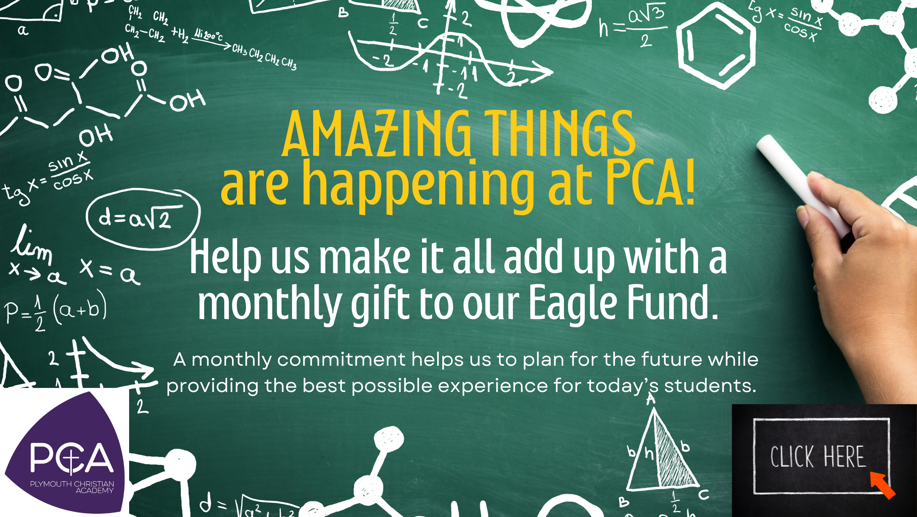 eagle fund website